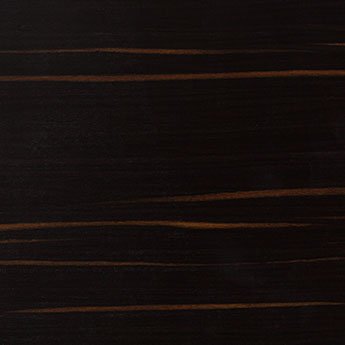 Ebony texture wood sample