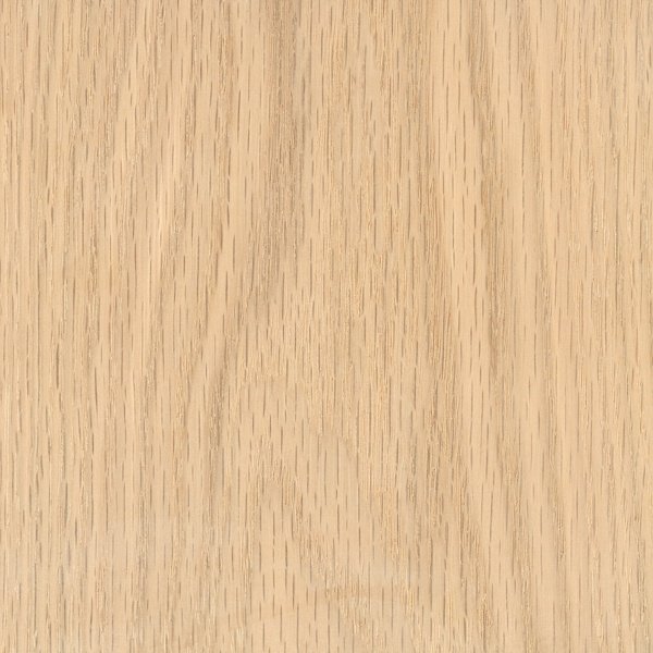 Oak texture wood sample
