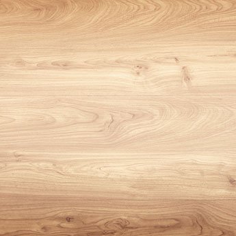 Maple texture wood sample