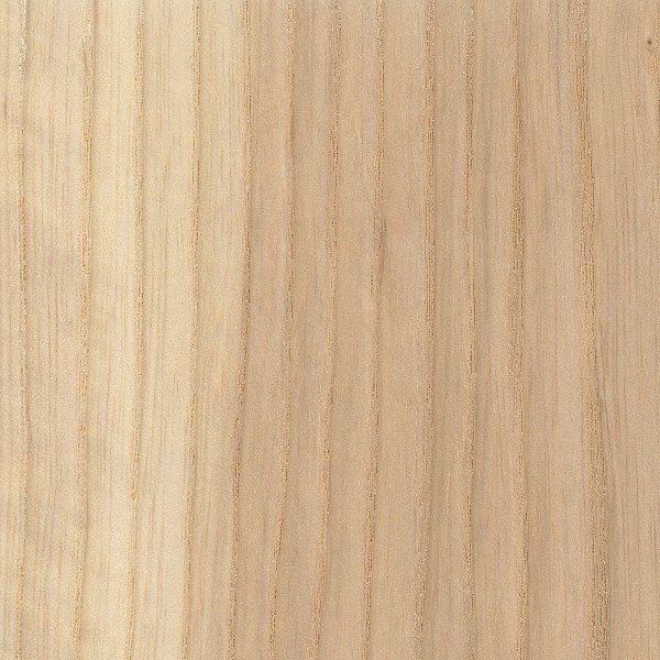 Ashwood texture wood sample