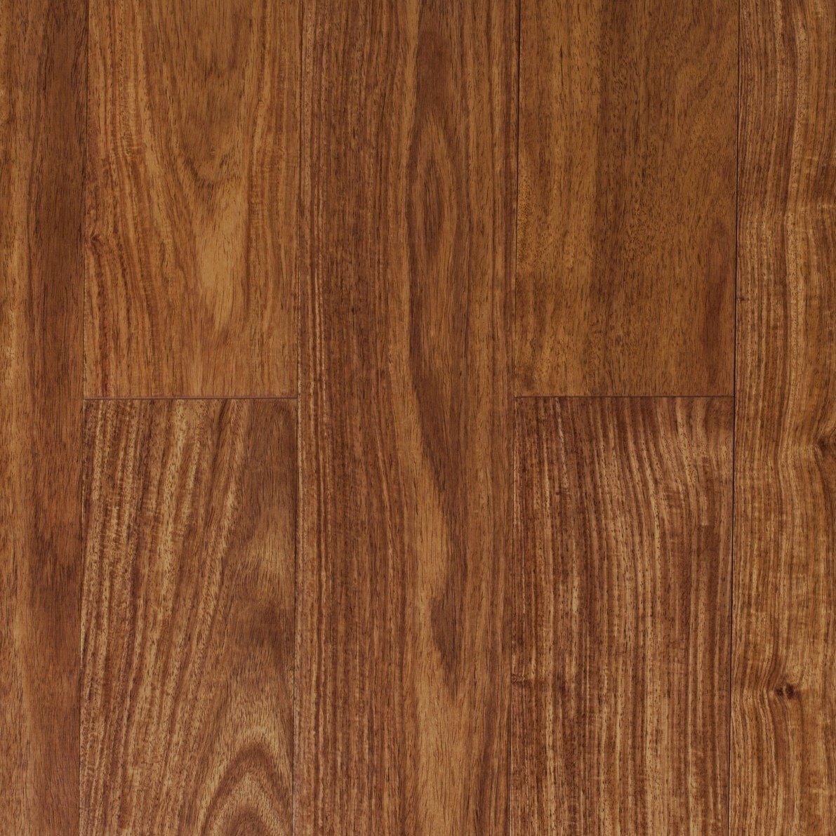 Wenge texture wood sample